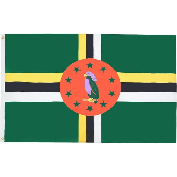 2024 Paris Olympics Dominica Flag - 3x5 Ft - 100D Polyester Dominican Banner with Two Metal Grommets - Fade Resistant - Vivid Colors - 3' x 5' Feet_Special Gift