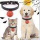 thumbnail image 2 of Suministros de ropa para gatos Collar de campana Calabaza Feliz Sencillez, 2 of 2