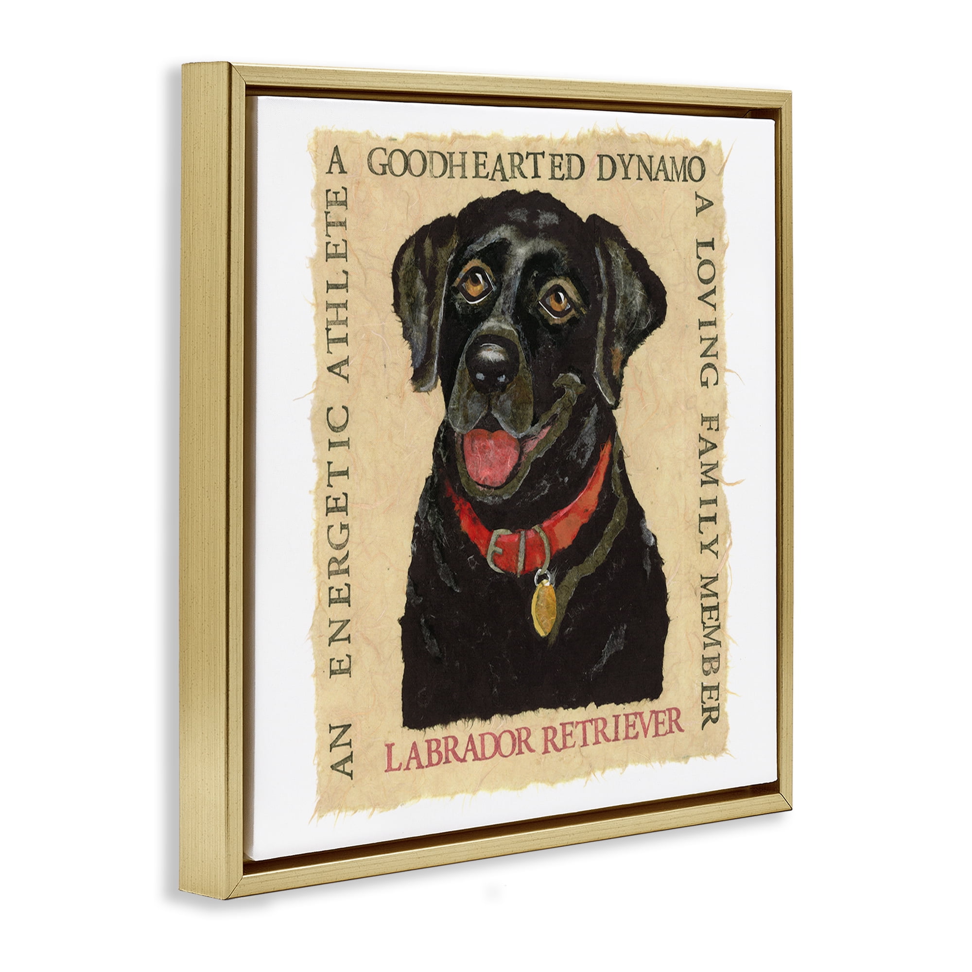Stupell Industries Fun Black Labrador Phrases Animals Painting Gold Floater Framed Canvas Art Print Wall Art, 18 x 18