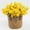 Yellow-YE-clearacne, variant on PpgejGEK High Grade Artificial Daisy Flowers Plastic Realistic Simulation for Home Decoration Bouquet Centerpiece Fake Floral Arrangements 12.5 Inches