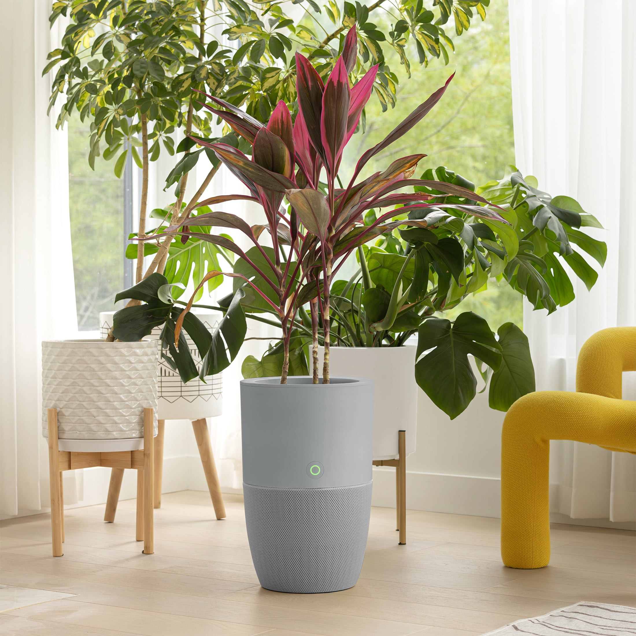 Dupray Bloom™ Smart Air Purifier, Gray Special Edition with Medical-Grade HEPA-13 Filter and Washable Pre-Filter