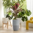 thumbnail image 4 of Dupray Bloom™ Smart Air Purifier, Gray Special Edition with Medical-Grade HEPA-13 Filter and Washable Pre-Filter, 4 of 9