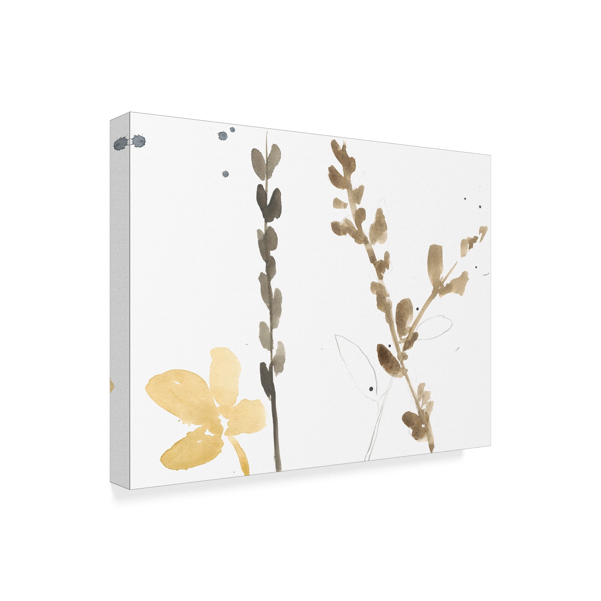 Trademark Fine Art 'Branch Contours VIII' Canvas Art by Jennifer Goldberger