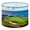 Color 1, variant on Lamp Shades Set of 2 Golf Course California Landscape Sports Fan Trees Bunkers 13" x 13" x 10" Lampshade for Table Lamps Floor Lamps Lamp Shade Replacement Easy Assembly Required