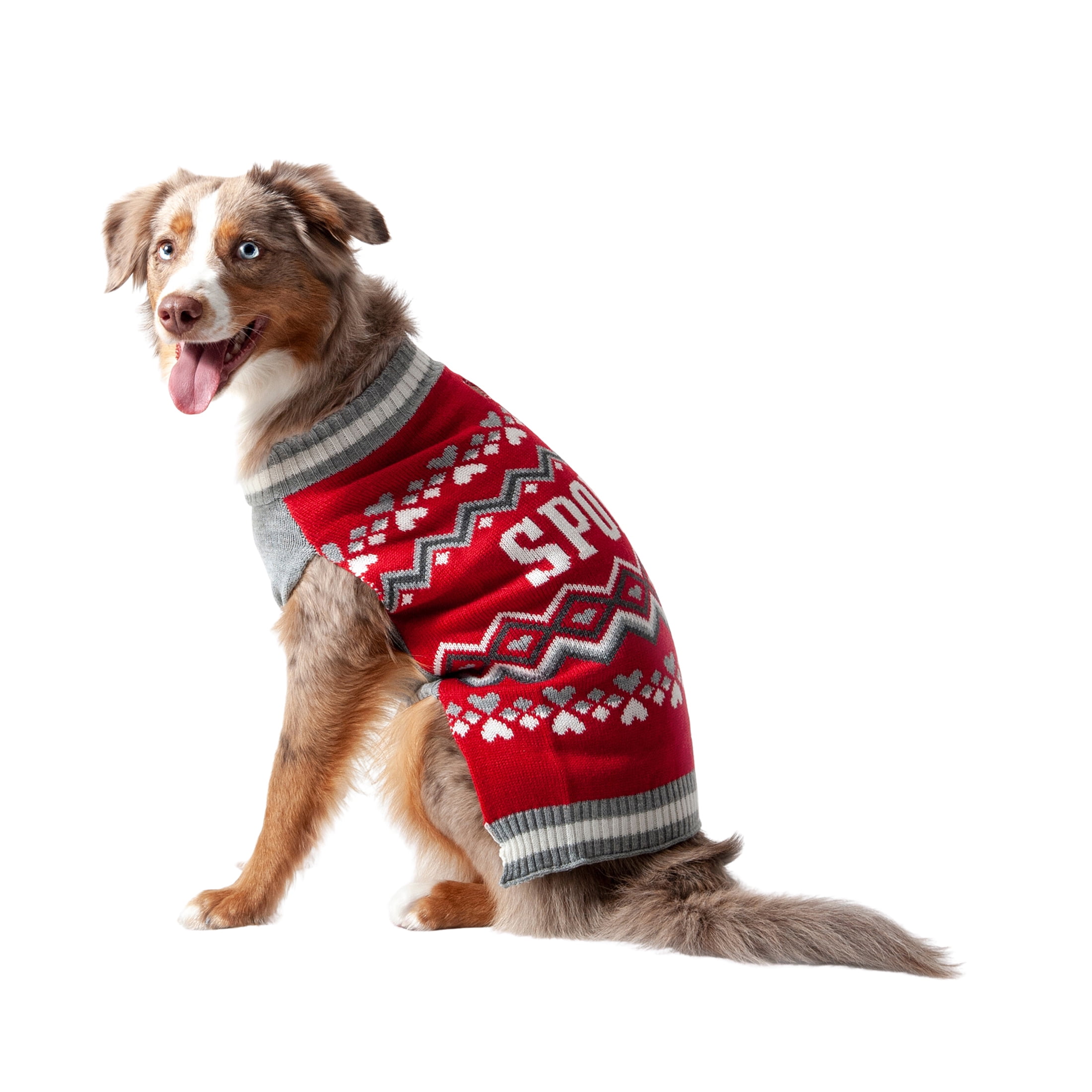 Vibrant Life Winter Dog and Cat Clothes Spoiled Red Sweater, Small