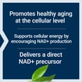 thumbnail image 4 of Life Extension NAD+ Cell Support NMN, Healthy Aging, Energy Support, nicotinamide mononucleotide, NAD+, 300 mg, Gluten Free, Non-GMO, Vegetarian, 30 Capsules, 4 of 10