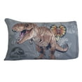 thumbnail image 2 of Jurassic Park 2-Pack Kids Pillowcases, 2 of 6