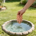 thumbnail image 4 of Bird Bath Plate Decorative Purification Plate with Support Points Natural All Weather Water Suitable for Outdoor Bird Bath Tubs and Bowls Multiple Choices, 4 of 4