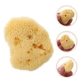 thumbnail image 3 of EeaseCA Natural Sponge Art Sponge Watercolor Graffiti Texture Tool Random Shape, 3 of 8