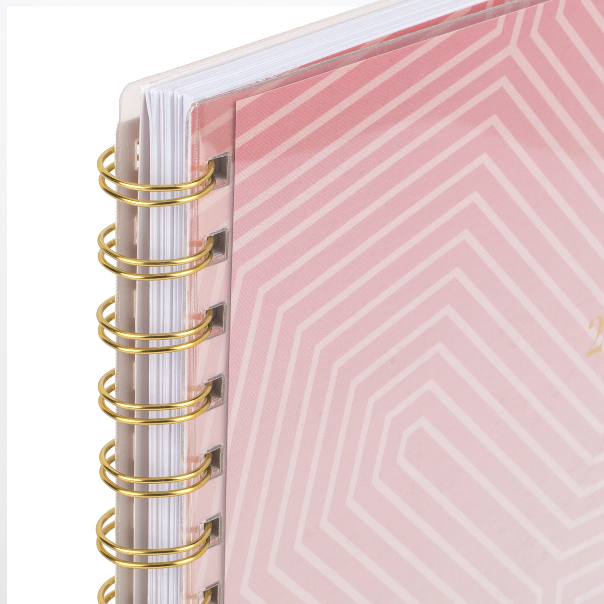 Cambridge Amaze 2026 Customizable Weekly Monthly Planner Large 8 12 x 11 -