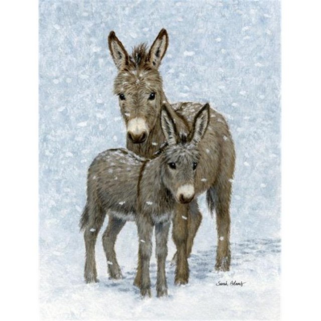 Carolines Treasures Donkeys Flag Canvas House Size