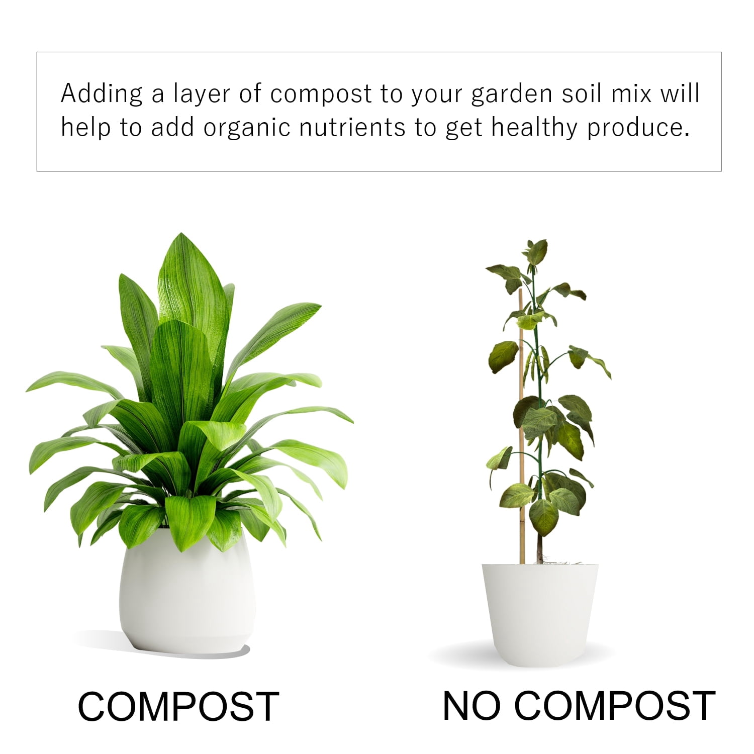 Organic Compost - Plant Based Potting Soil - Home, Garden Organic Fertilizer - Complete Food for Plants - Boosts Plant Growth - Use for Indoor and Outdoor Farming 24 Quart Bulk!