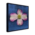 thumbnail image 2 of Trademark Fine Art 'Pink Dogwood' Canvas Art by John W. Golden, 2 of 3