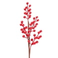 thumbnail image 1 of 4PCS Christmas Fruit Fake Flower Dried Flowers Diy Home Good Quality Plastic Photo Props Emulation Berry Stalks, 1 of 5