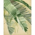 thumbnail image 2 of Parker, Jennifer Paxton 15x18 White Modern Wood Framed Museum Art Print Titled - Banana Palms I, 2 of 4