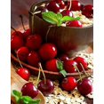 thumbnail image 1 of Cerise et Avoine - Peinture Diamant DIY, 1 of 6