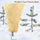 thumbnail image 3 of Winter Plant Cover 250x360cm, 140g/m² Non-Woven Frost Protection for Palm and Olive Trees, Compatible with DEB, 3 of 5