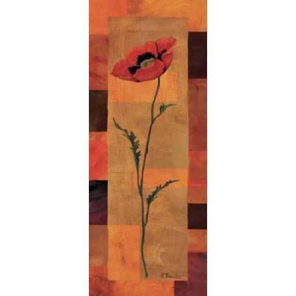 Goa Poppy Panel II Canvas Art - Paul Brent (10 x 20)