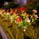 thumbnail image 4 of Solar Powered Rose Garden Lights,LED Realistic Flower Stake Lights,Outdoor Decorative Solar Lamp for Yard Garden Pathway,Waterproof Plastic Silk Rose Night Light,Festive Courtyard Ambient Lighting, 4 of 7