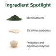 thumbnail image 4 of Vibrant Health, Green Vibrance, Version 17.0, 240 VegiCaps, 4 of 9