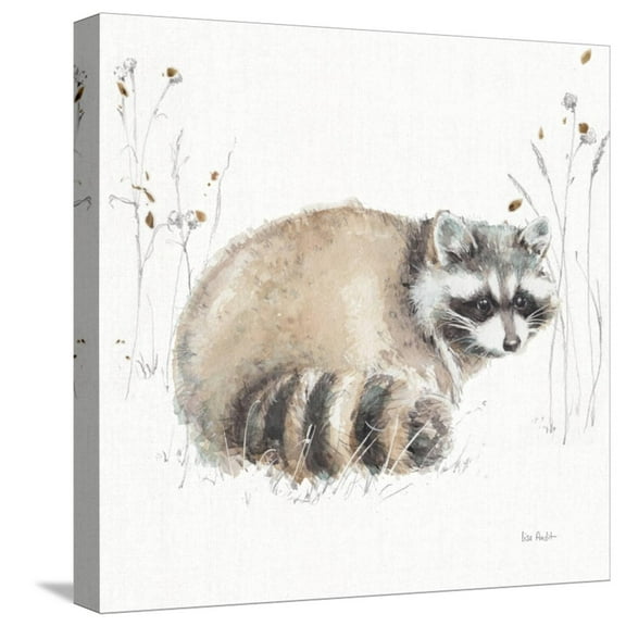 Art.com A Woodland Walk X Stretched Canvas Print Wall Art by Lisa Audit, 16" x 16"