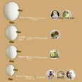 Simulation Fake Egg Bird Parrot Fake Solid Egg Bird Skin Peony Xuan