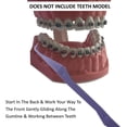 thumbnail image 3 of Flosser for braces, gum line scraper, deep into the teeth, along the gum line and behind the braces to remove plaque, non-metal dental tool, 3 of 4
