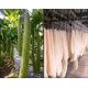 thumbnail image 4 of Esponja de lufa YONGSHENG natural para baño y spa paquete de 3, 4 of 4