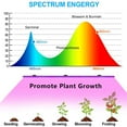 thumbnail image 3 of Xiyztok - Tira de luz LED solar para cultivo (5 m, 5 W, espectro completo, flexible, para interior, luz natural), 3 of 8