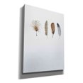 thumbnail image 2 of Epic Graffiti 'Feather 12' by Incado, Giclee Canvas Wall Art, 12"x16", 2 of 8