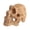 Style:1#, variant on Plastic Miniature Skull Ornaments DIY Landscape Fish Artificial Aquarium Skull Miniature Skull for Reptiles Play