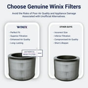 Winix Replacement Filter O for A231 and A230 Air Purifier, 12 Months of Filtration