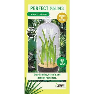 Unique Gardener Carefree Capsule Terrarium Kit Create Your Serene Sanctuary with Perfect Palms Terrarium Grow Kit - Over 10 Varieties for Easy Indoor Gardening