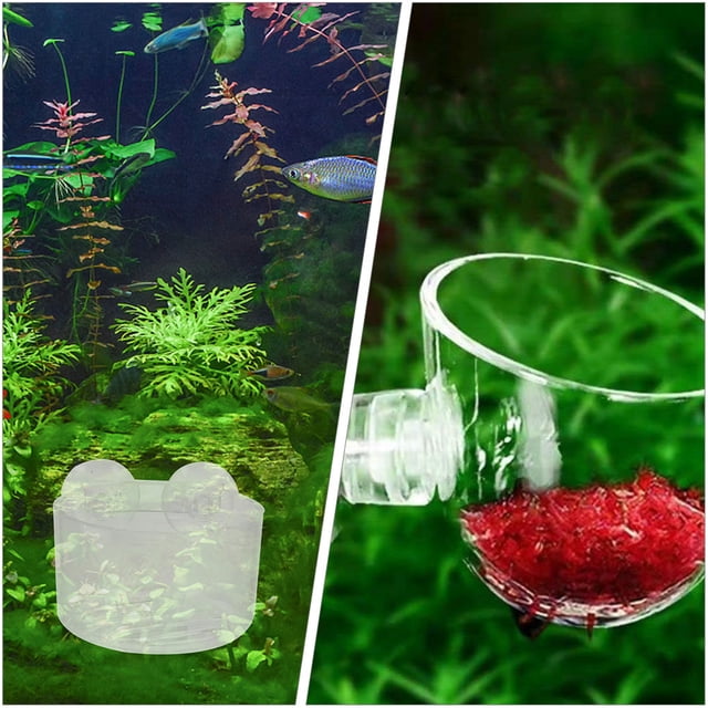 unbranded 10Ud Soportes Para Plantas Acuáticas Acrílicas Transparentes Para Acuario Con De Agujero