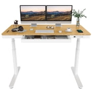 FLEXISPOT Q8 55x28 Wireless Charging Dual Motors Standing Desk with Drawers, White and Bamboo Top Height Adjustable Desk with Cable Management Tray