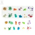 thumbnail image 2 of Gustavedesign 12 Colors Nail Dried Flowers, 3D Nail Art Sticker DIY for Tips Manicure Decor Mixed Accessories, Starry Leaves Flower Box Set, 2 of 8