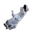 thumbnail image 1 of T Rex Inflatable Costume, Realistic Craftsmanship Waterproof Inflatable Dinosaur Costume  for  Purple,Blue,Orange,Yellow,White, 1 of 7