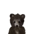 thumbnail image 3 of Straatsma, Leah 12x14 Black Modern Framed Museum Art Print Titled - Baby Black Bear, 3 of 5