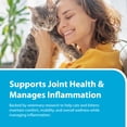 thumbnail image 5 of PRN Pharmacal Duralactin Feline - Joint Health Supplement for Cats & Kittens Supports Chronic Soreness, Joint Health & Overall Wellness - Gelatin Capsules Containing Dried Milk Protein - 60 Capsules, 5 of 9