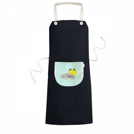 

Air Quality PM2.5 Dis Apron Bib Sarong Cooking Baking Kitchen Pocket Pinafore