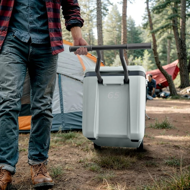 Ninja Frostvault Wheeled Cooler, Large 65QT Capacity - Walmart.ca