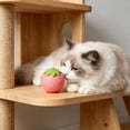 thumbnail image 2 of Interactive Cat Toy Ball, Automatic Smart Rolling Cat Ball, USB Rechargeable Motion Activated Cat Toy for Indoor Cats, boredom relief Pink, 2 of 6