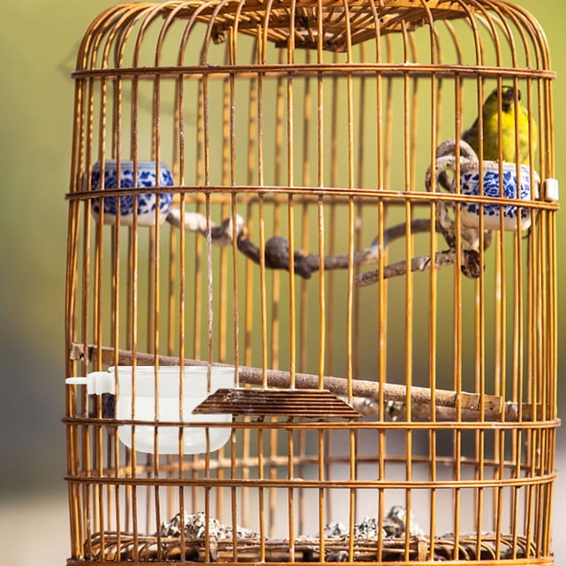 OULII 10Ud Comedero Para Pájaros Con Transparentes De Acrílico Para Jaula Colgante