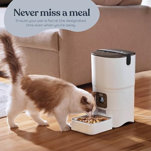 Small Portion Automatic Cat Feeder For Cats 6L Smart Food
