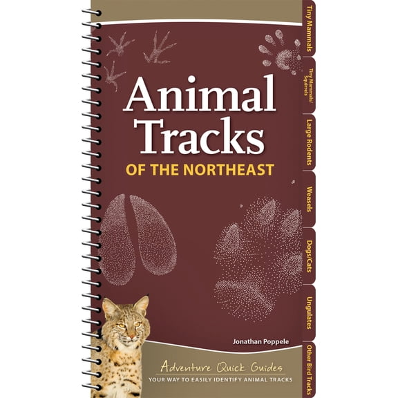 Pre-Owned Adventure Quick Guides Animal Tracks of the Northeast: Your Way to Easily Identify Animal Tracks, (Spiral-Bound)
