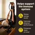 thumbnail image 4 of Lions Mane Mushroom Supplement, Brain Supplements for Memory and Focus, 2 Months Supply Vegan Vitality, 4 of 6