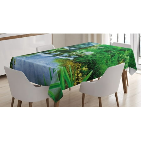 

Nature Tablecloth Waterfall Flowing down the Rocks Foliage Cascade in Forest Valley Image Rectangular Table Cover for Dining Room Kitchen 60 X 84 Inches Fern Green Light Blue by Ambesonne