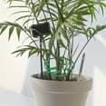 thumbnail image 1 of unbranded 4Ud Soporte Para Tallo De Planta Con Monstera Para Y Crecimiento Estable, 1 of 8