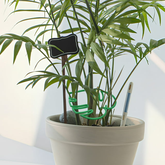 unbranded 4Ud Soporte Para Tallo De Planta Con Monstera Para Y Crecimiento Estable