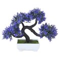 thumbnail image 1 of Planta Artificial Saludo De Invitados Pino Árbol Tradicional Bonsái Chino Pino Árboles Decoración Del Hogar De Escritorio 1 Uds Moyic HA043826-04, 1 of 5